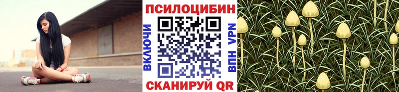 hydra рабочий сайт  Урюпинск  Псилоцибиновые грибы ЛСД 